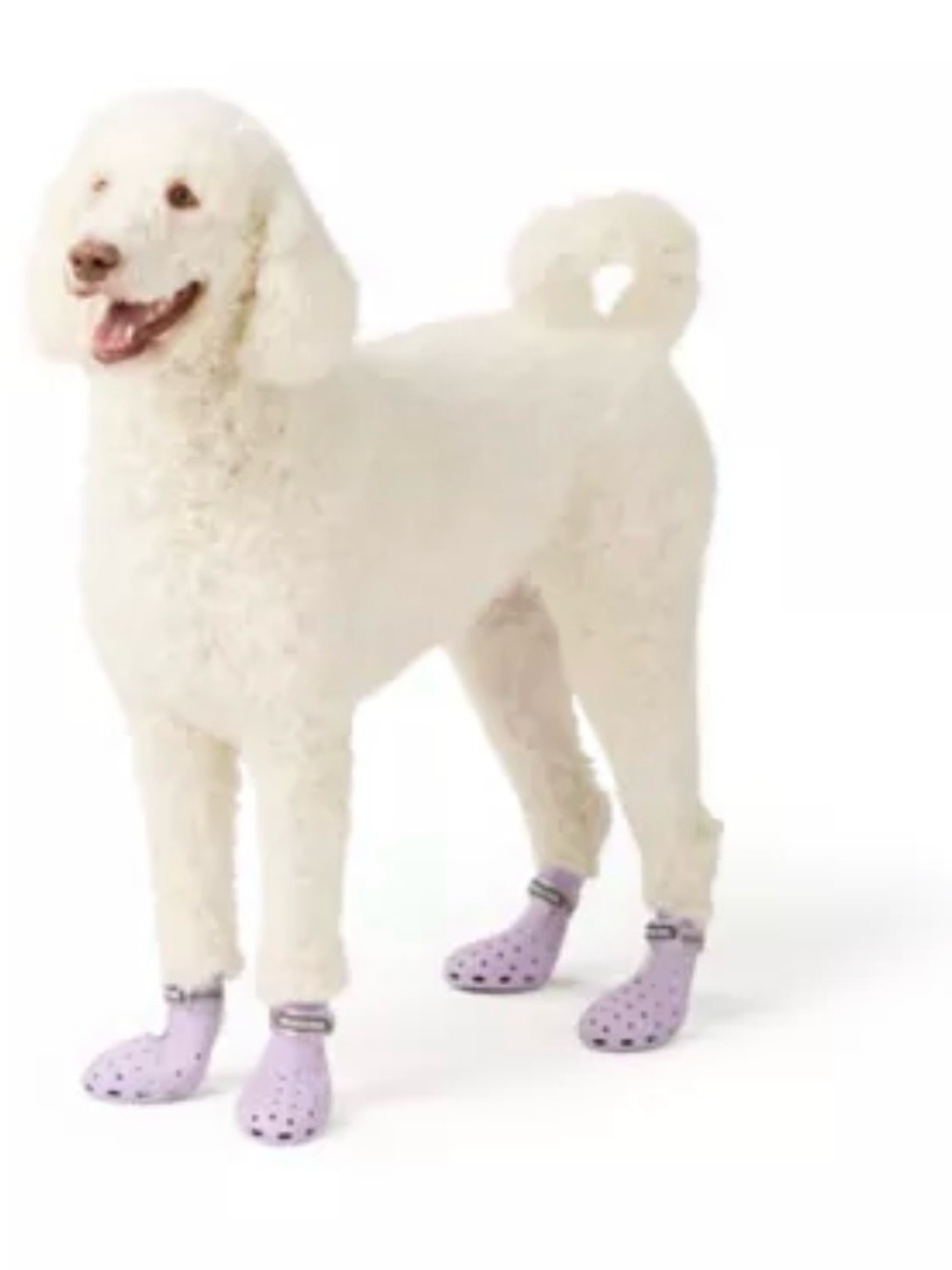 Water boots with Adjustable Cuffs for Dog